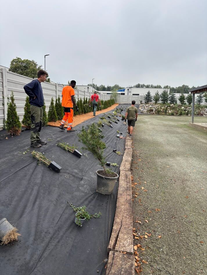 Hydroosev a spevňovanie svahu